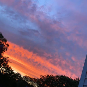 Meet your Posher, Riley